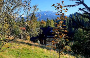 Domek Kojsówka - Foto 26