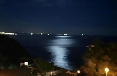 Jacqueline - Foto 49