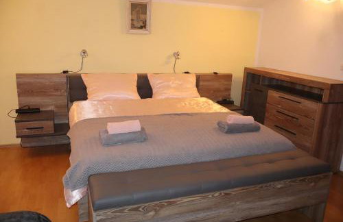 Dalmatian - Photo 54