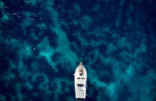 Modern Urban Oasis - Korčula - Photo 13