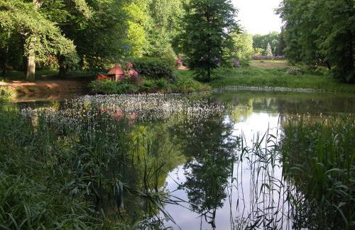 Ferienwohnung "Schloss Kromlau" - Foto 15