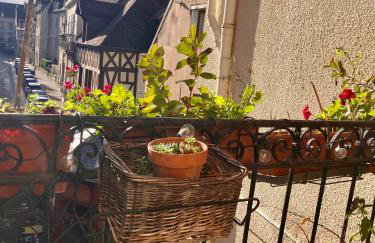 Appartement bucolique - Cœur historique Dijon - Foto 11