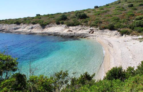 Apartments with parking space Brbinj, Dugi otok - 8160 - Foto 21