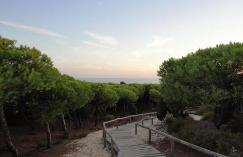 Leo Punta Umbria - Foto 39