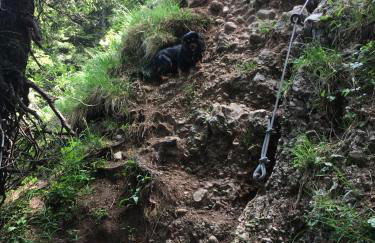 Ferienhof Wäldle - Wäldle 1 und Wäldle 2 mit Motorradvermietung - Photo 67