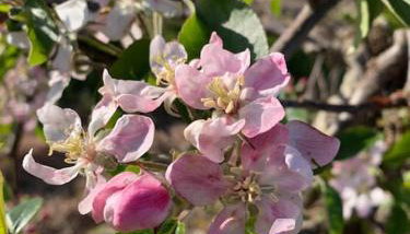 Modern, Stylish lodge with Paddock Views - Foto 5