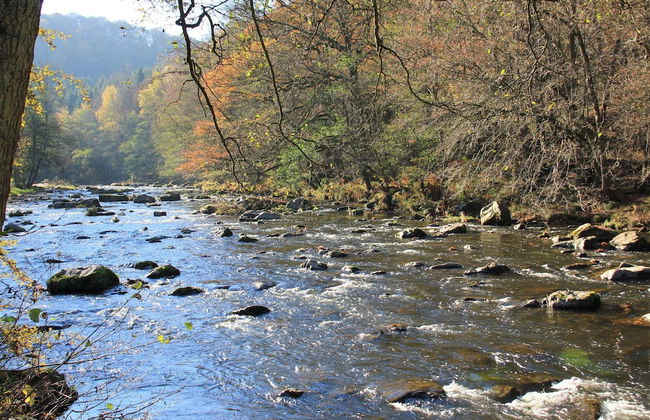 Group Stay With Pool, Chevron - Photo 28