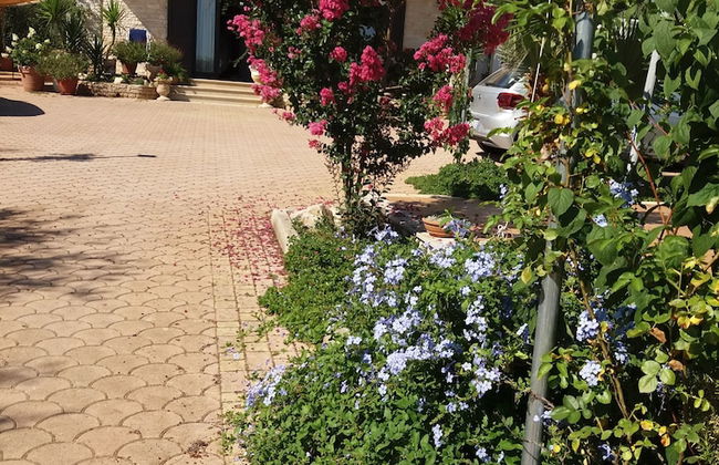 Villa Calendula - Foto 35