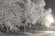 Moderne 3 Zi Ferienwohnung - Photo 23