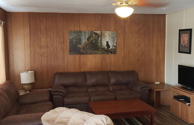 lazy bear cabins - Foto 42