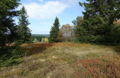 Ferienwohnung Hankeln - Foto 62