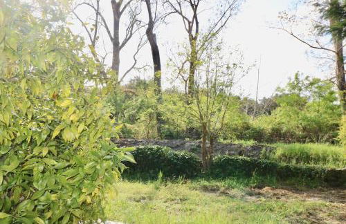 Gîtes Terra di a Bravona - Foto 16