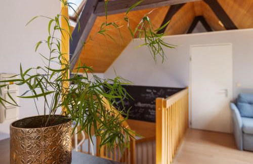 Ferienwohnung an der Brigach - Foto 2