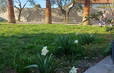 Bella Gaia - Foto 23