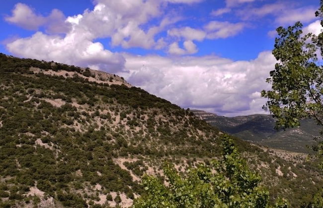 Complejo Rural La Glorieta - Foto 26