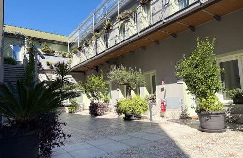 Il Giardino degli Ulivi PT - Photo 4