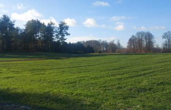 Domek do wynajęcia - Siedlisko przy lesie - Foto 12