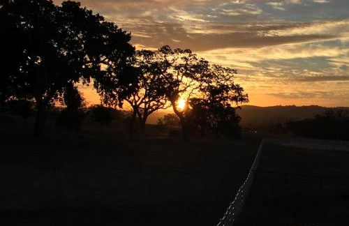 Oakwood Lodge - Foto 42