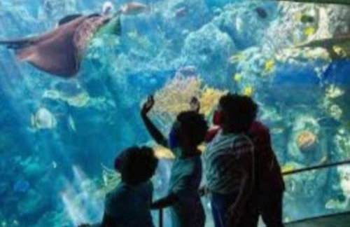 Beautiful Spacious 2 Bedroom, 2 Bathroom Condo - Foto 13