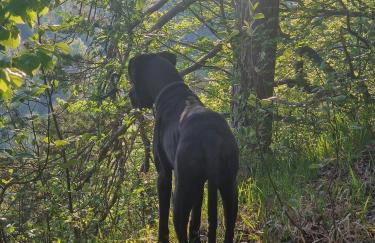 Alb - Lotte - Foto 24