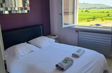 Chez Florence Ammerschwihr - Foto 29