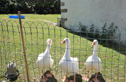 2 Bed in St. Agnes oc-50085 - Foto 16