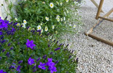 Maison de Charme dans Domaine 17ème - Foto 13