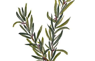 Alm Annerl - Neue Ferienwohnungen in Obermaiselstein - Photo 12