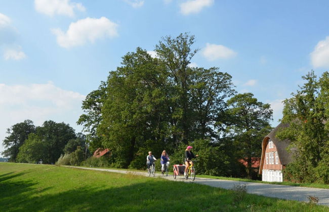 Holiday Home Deichkind on the Elbe Dike - Foto 14