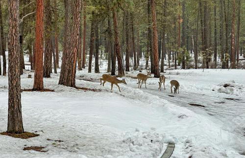 Private Lake Access and Dock Home Near Spokane - Foto 54