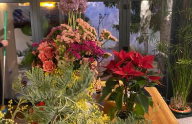 Lanzaroco, tu casa en La Vera - Foto 50