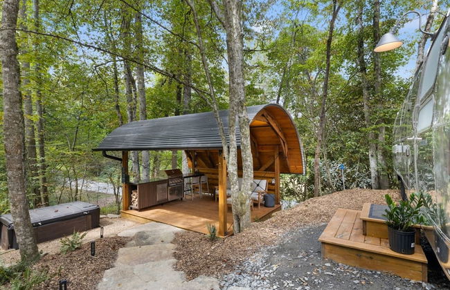 Silver Fern in Pisgah Forest - Foto 30