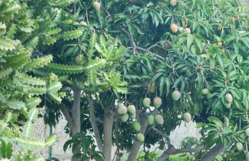 OCEAN VIEW - renovation 2025 - Photo 4