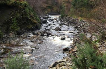 Treetops Bungalow Loch Ness - Foto 40