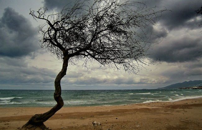 The Mirador Boutique Villa With Scenic Sea View - Foto 50