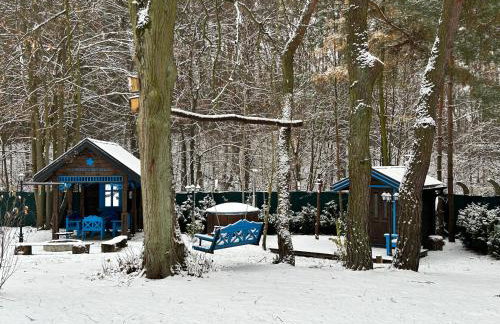 Niezapominajka - Foto 63