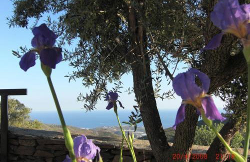 Villa El Ancla - Photo 25