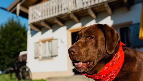 Ferienhaus im Landhausstil im Vital Camp Bayerbach - Foto 3