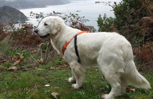 Casa de Aldea El Sol - Foto 33