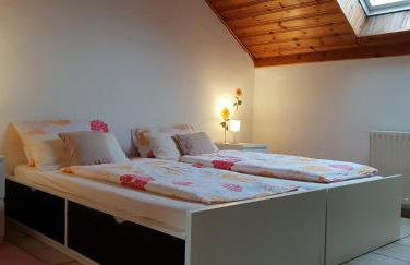 flats-4u - Cosy, quiet & clean apartments in the city ( Apt. 5 ) - Foto 6