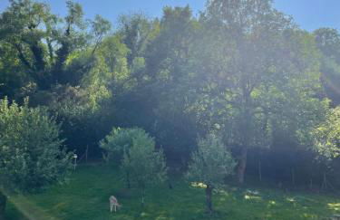 DeNi's Ferienwohnungen - Foto 30