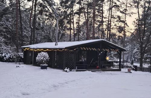 Ferienhaus Waldhütte Ferch - Foto 1