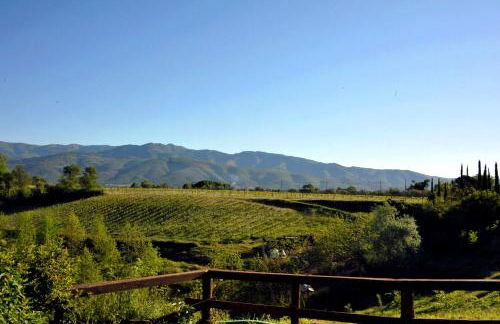 Agriturismo il Pino - Bioagricoltura - Photo 55