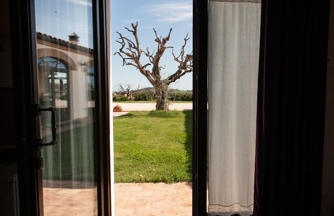 Villa Coralia - Photo 75