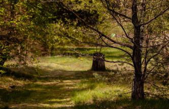 Kłodnia 1 - Foto 27