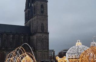 Ferienwohnung Lion - Foto 21