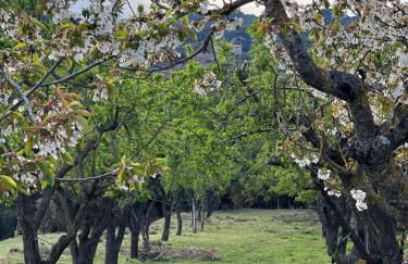 El Ventador de la Torra - Foto 16