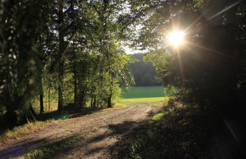 Ferienhof Aiginger - Foto 15