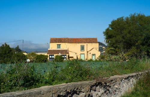 Suite Olivos - Foto 61