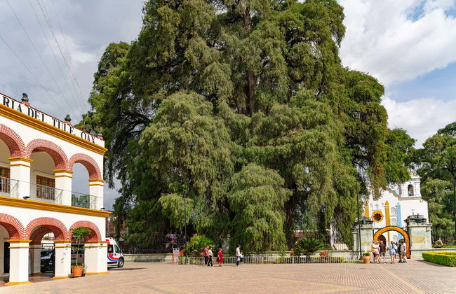 Excursion to Teotitlán del Valle, Mitla & Mezcal Distillery - Photo 9